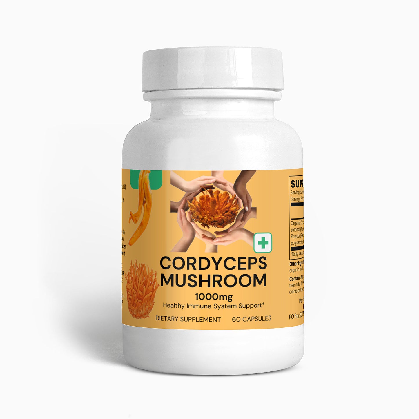 Cordyceps Mushroom