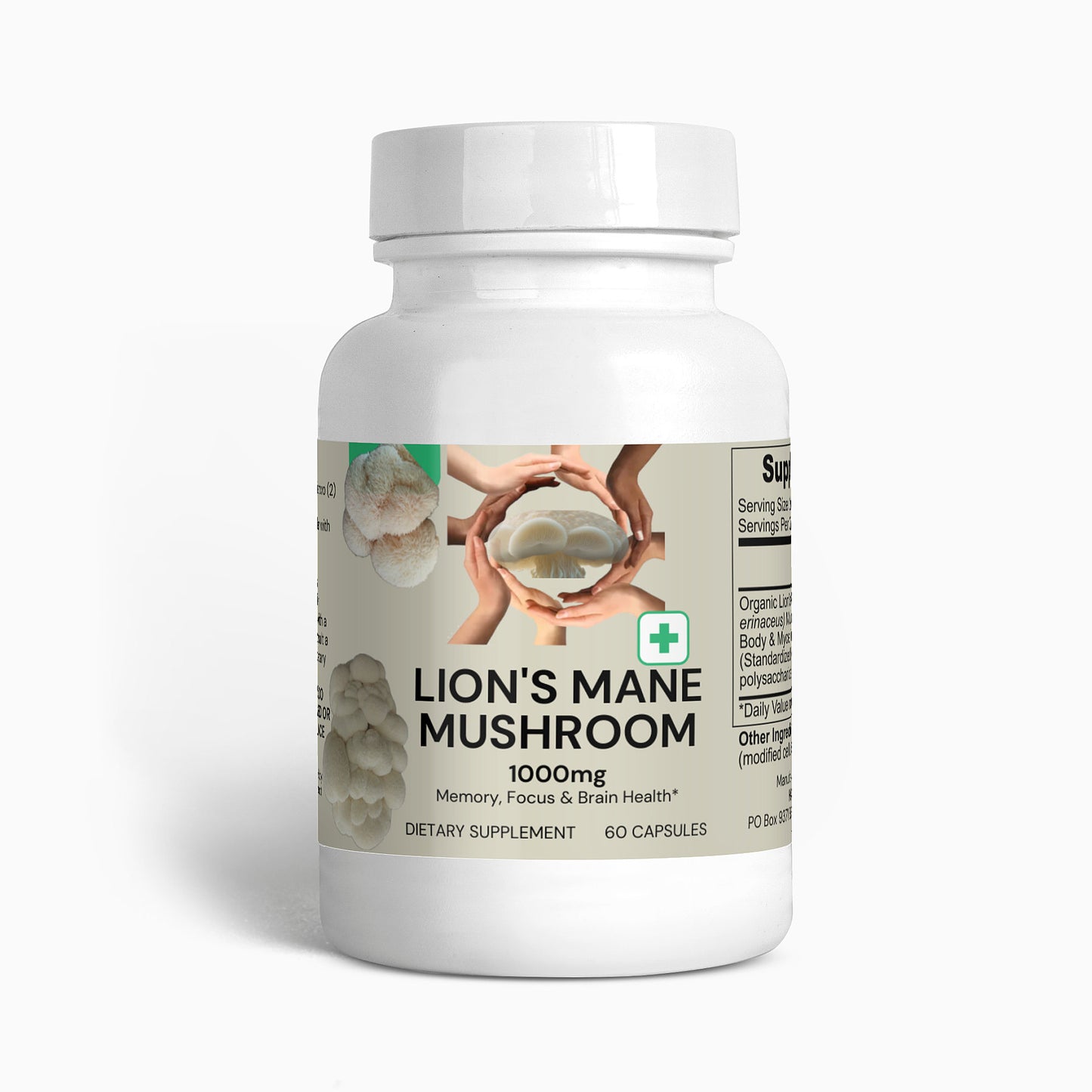Perfect Nootropics Combo